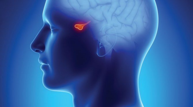 аддисонова болезнь причины