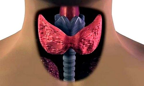 Диффузные изменения паренхимы щитовидной железы — это патологический процесс, который является лишь диагностическим определением