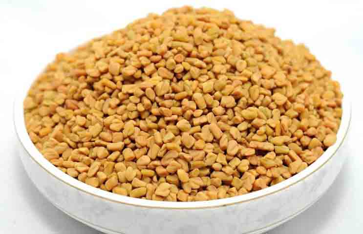 пажитник фенугрек