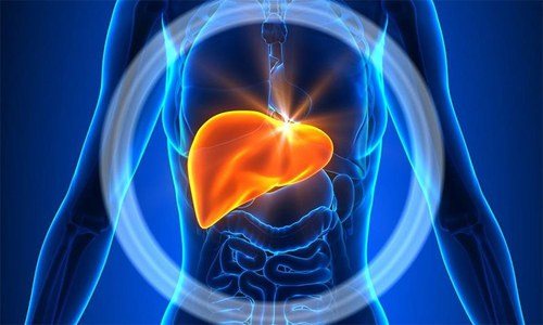 При гематогенном распространении атипичные клетки обнаруживаются а печени